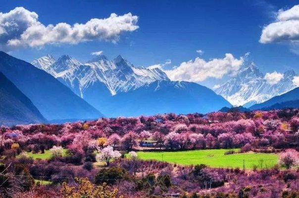 林芝波密桃花溝景區包車租車游